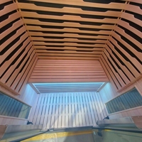 Sauna d'intérieur moderne pour 2 personnes, électrique, infrarouge lointain, en bois de pruche massif, vapeur sèche, hammam traditionnel, pour salle de sport/villa, 9 kW