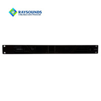 Amplificateur de puissance Hi-Fi numérique professionnel 2 canaux 2000W de la série Raysounds avec construction en alliage d'aluminium métallique pour utilisation sur scène