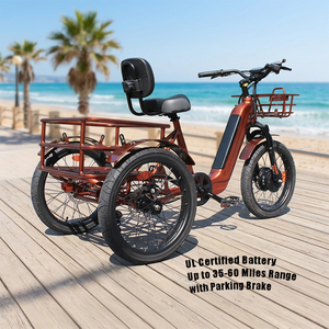 Tricycle Électrique à 3 Roues 500W pour Adultes, Vélo Cargo Électrique Stable et Écologique pour les Trajets Quotidiens - Vente en Gros - Product Image 1