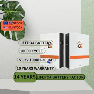 Pin Tuya LifePO4 48V 100Ah 200Ah 50Ah 5Kwh 10Kwh Pin Năng Lượng Mặt Trời Lithium Ion Lifepo4 100ah 5kw