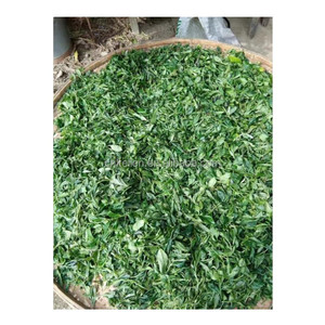 Línea de Producción de Té Negro para Jardín de Té Familiar, Máquina de Torcedura, Molienda y Trituración de Té Ortodoxo - Product Image 5
