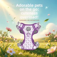 Harnais pour chien imprimé, respirant et réglable avec doublure douce, harnais pour animaux de compagnie avec anneau en D métallique pour petits chiots, pour la promenade en extérieur