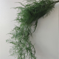 Rangkaian Bunga Asparagus Fern Awet Warna Burgundy/Pink/Putih/Ungu untuk Dekorasi Pernikahan Musim Gugur/Autumn, Pesta, dan Rumah