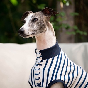 Qiqu Pet Shop Dog Summer <strong>Clothing</strong> Clothes Stripe <strong>Popper</strong> up Tee t Shirt Vest Dress for Whippets Italian Greyhound Sighthound - Product Image 5