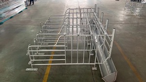 Thép mạ kẽm nhúng nóng Thùng mới và được sử dụng cho các ngành công nghiệp trang trại lợn - Product Image 6