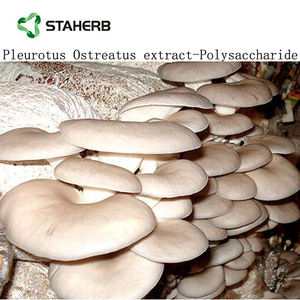 Экстракт бета-глюкана плеврута остреата, Экстракт устричных грибов - Product Image 3