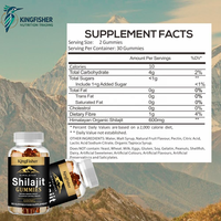 Gummies de Shilajit KingFisher OEM ODM sans sucre, véganes, supplément à base de plantes pour le soutien quotidien de l'énergie et de la vitalité, marque privée, vente en gros