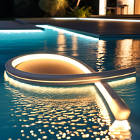 Bande lumineuse LED néon pleine couleur IP68 avec bande flexible à changement de couleur, corps en silicone, 12V/24V pour piscine