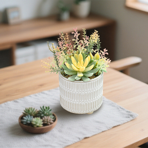 Piante Grasse Artificiali <span class=keywords><strong>in</strong></span> <span class=keywords><strong>Vaso</strong></span> - Decorazione Moderna ed Estetica per Casa, Pasqua, Primavera e Matrimoni - Product Image 4
