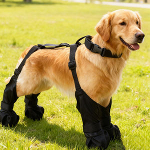 防水防塵 春夏ペット犬服 ウォーキングドッグパンツ 防汚 防蚊 脚を守る - Product Image 2