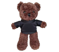 Peluches personnalisées SongshanToys avec logo, 30 cm, t-shirt en sublimation, poupée de couleur foncée, peluche de haute qualité, ours en peluche, cadeau pour enfants
