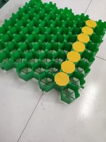 Grilles de pavage en plastique modernes pour le gazon des parcs et le drainage du gravier, utilisation extérieure