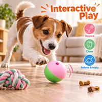 Jouet pour animaux de compagnie en silicone à haute élasticité, balle à mâcher résistante à l'usure avec trou pour chats et chiens, jeu interactif