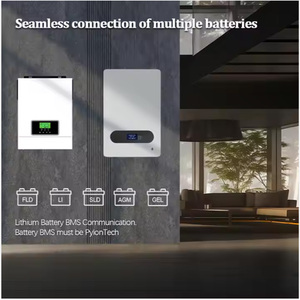 Onduleur solaire hybride basse fréquence à onde sinusoïdale pure 2000W 12V 24V onduleur solaire à usage domestique - Product Image 5