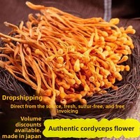 Emballage personnalisé, 100% naturel, champignons Cordyceps militaris séchés entiers, Chong Cao Hua, 500g, emballage sous vide pour la cuisine et le thé