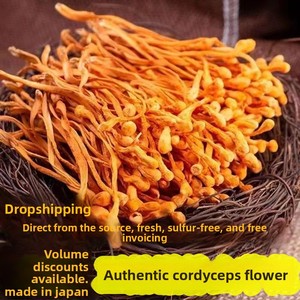 Op maat gemaakte verpakking 100% natuurlijke gehele gedroogde <span class=keywords><strong>Cordyceps</strong></span> Militaris Chong Cao Hua 500g vacuüm verpakt voor koken & thee - Product Image 2