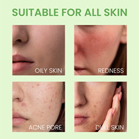 OEM ODM Boue hydratante pour le visage Bâton de masque à l'argile à l'armoise verte pour les points noirs