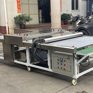 Lavatrice e Asciugatrice Orizzontale per Vetro ad Alta Velocità e di Piccole Dimensioni / Lavavetri - Product Image 6