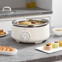 Casserole multifonction de haute qualité sans revêtement, en acier inoxydable 304, capacité de 5 L, casserole électrique pour usage domestique, OEM