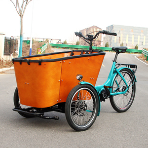 Entrepôt néerlandais de l'UE <span class=keywords><strong>Transport</strong></span> spécial E Trike Cargo Bike Trolley Cargo 3 Wheel Family Cargo Vélo électrique à trois roues - Product Image 1