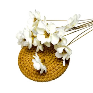 Venta al por mayor de flores secas naturales de <span class=keywords><strong>Campanula</strong></span> plantas de madera hechas a mano para la decoración del hogar y aromaterapia para graduación y Pascua - Product Image 2