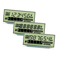 Pantalla LCD de 7 Segmentos Personalizable GW056 SCCdisplay, Tamaño Pequeño, Antideslumbrante, 53.8x24.5x2.8mm, Pines Metálicos, -20~+70 Grados de Temperatura Operativa
