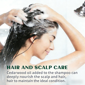 Olio Essenziale di Cedro Aroma Fresco per Vitalità e Purificazione dell'Aria - Rinfrescante Naturale di Alta Qualità per l'Aria e per l'Attenzione Mentale - Product Image 6