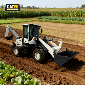 Nouvelle chargeuse sur pneus diesel CATER avec moteur 58KW/79HP, capacité de la benne de 1m, moment de charge élevé et efficacité, garantie 1 an - Product Image 1