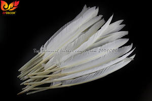 Оптовая продажа с завода ZPDECOR, дешевый запас белых уток 30-35 см, указка, перья крыла для тринидада, карнавальных костюмов - Product Image 3