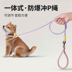 Correa para mascotas P-Rope, duradera, sin ataduras, a prueba de explosiones, para perros medianos, para paseos al aire libre - Product Image 3
