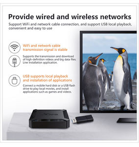 Nouvel arrivage X96Q 1 go 8 go 2 go 16 go Allwinner H313 Quad Core wifi 4k smart internet <span class=keywords><strong>Android</strong></span> 10 iptv hub h265 set top <span class=keywords><strong>Box</strong></span> <span class=keywords><strong>X96</strong></span> <span class=keywords><strong>Q</strong></span> - Product Image 6