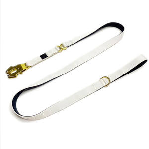 Set Pettorina da Combattimento di Alta Qualità 2024 con Collare e Guinzaglio Morbidi Imbottiti e Regolabili per Cani - Product Image 6