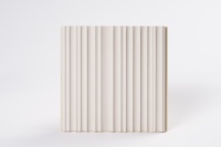Panneau mural en WPC écologique et recyclable, design imperméable pour une durabilité supérieure, esthétique moderne, idéal pour les salles de sport en plein air