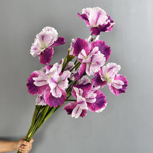 <span class=keywords><strong>Flor</strong></span> Artificial Iris <span class=keywords><strong>de</strong></span> 81 cm <span class=keywords><strong>de</strong></span> <span class=keywords><strong>Casablanca</strong></span>, Tacto Real, Decoración para Año Nuevo y Pascua, Regalo con Tallo Duradero, Venta al por Mayor para Compradores Comerciales - Product Image 2