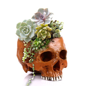 Adornos de <span class=keywords><strong>maceta</strong></span> de <span class=keywords><strong>calavera</strong></span> SKF09, nueva <span class=keywords><strong>maceta</strong></span> de <span class=keywords><strong>calavera</strong></span> de resina para decoración del hogar, artesanías de <span class=keywords><strong>calavera</strong></span> de cabeza humana hechas a mano - Product Image 1