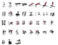 Machine à développer les mollets de haute qualité de la série SM LF pour salle de sport commerciale, efficace pour les muscles gastrocnémiens et soles