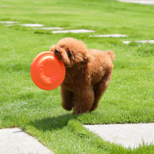 Dog Frisbee <b>Toy</b> <b>For</b> Large Breeds Rubber Outdoor Training Play Equipment Solid Color <b>Interactive</b> <b>Pet</b> <b>Toys</b> - Product Image 3