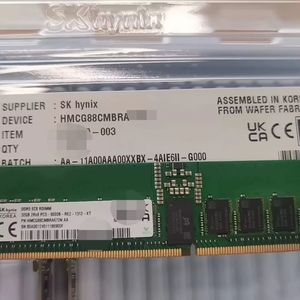 Módulo de Memoria para Servidor SK Hynix 32G 2R8 8000 RDIMM HMCG88CMBRA672N AA - Product Image 3
