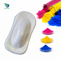 Peinture en poudre électrostatique de haute qualité PPX0014 en polyester pur pour la rénovation des métaux extérieurs
