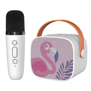 Oem e Exw ragazze Karaoke macchina per il canto per bambini portatile rosa fenicottero bambini Karaoke macchina altoparlante con un microfono