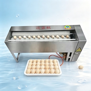 Máquina para Lavar Huevos con Cepillos Gruesos, Máquina para Limpiar Huevos - Product Image 2