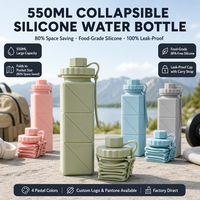 Bouteille d'eau pliable en silicone 550ml étanche rétractable gourde de sport pour voyage en plein air en gros