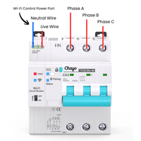 Interruptor de circuito inteligente Tuya 63A con medición WIFI, temporizador, control remoto, interruptor inalámbrico automático con reconexión.