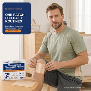 Patchs chauffants traditionnels en vrac à base de glucosamine, chondroïtine, armoise et huiles essentielles de pissenlit pour soulager les douleurs au <span class=keywords><strong>genou</strong></span>, au dos et aux épaules - Product Image 1