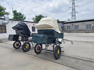 Carroza Eléctrica Hengyisheng para Caballos, Carro de Maratón de Dos Ruedas, Potencia, Otro Estándar de Emisiones, Precio de Fábrica, Origen Henan - Product Image 3