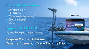 समुद्री गहरे चक्र 36 वी लिथियम आयन बैटरी पैक 36 वी 40ah 60ah 80ah 100 आह 0ah 100 जीवन-4 ट्रोलिंग मोटर बैटरी - Product Image 3