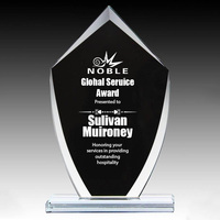 Trophée en verre en forme de bouclier noble pour la reconnaissance des services hôteliers, avec logo et texte gravés sur mesure, cadeau personnalisé