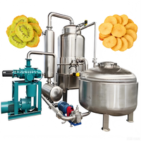 Nouvelle Machine à Frire Sous Vide Électrique AX 220V avec Pompe pour Frites de Fruits et Légumes, Ligne de Production Alimentaire en Acier Inoxydable 304 de Qualité Alimentaire, Garantie 1 An, Haute Performance