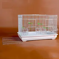 Cages à oiseaux perruches fournisseurs métal oiseau bricolage cages couleur blanche