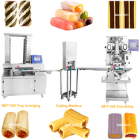 BNT-208A Nouvelle machine automatique 220V pour la découpe de barres bicolores et l'encrustation de barres de biscuits, avec double remplissage de confiture de dattes, cacahuètes et figues